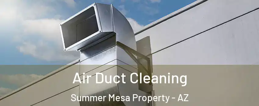 Air Duct Cleaning Summer Mesa Property - AZ