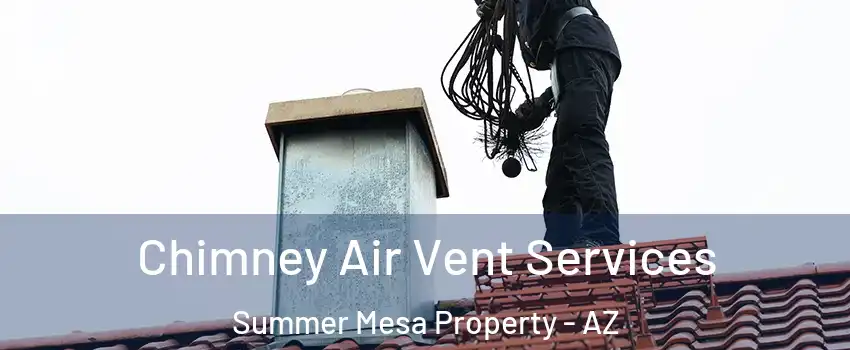 Chimney Air Vent Services Summer Mesa Property - AZ