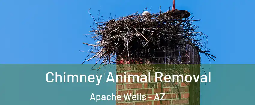 Chimney Animal Removal Apache Wells - AZ