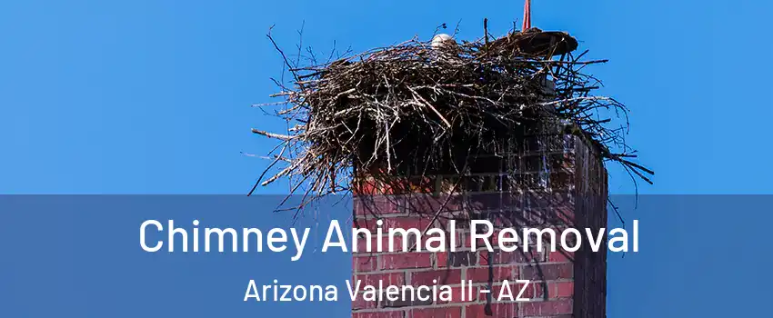 Chimney Animal Removal Arizona Valencia II - AZ