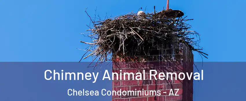 Chimney Animal Removal Chelsea Condominiums - AZ