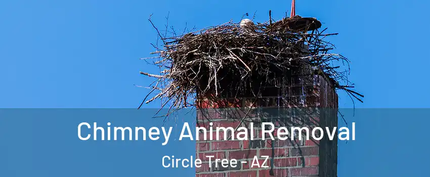 Chimney Animal Removal Circle Tree - AZ