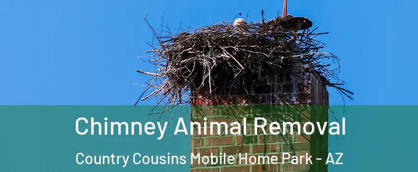 Chimney Animal Removal Country Cousins Mobile Home Park - AZ