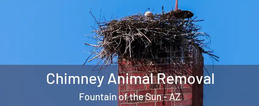 Chimney Animal Removal Fountain of the Sun - AZ