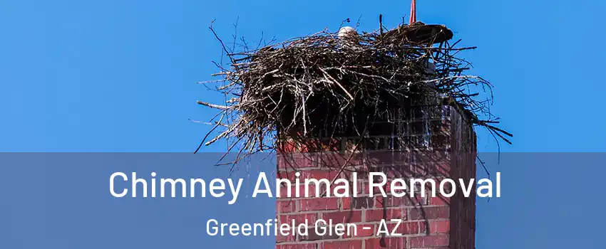 Chimney Animal Removal Greenfield Glen - AZ