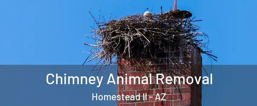 Chimney Animal Removal Homestead II - AZ