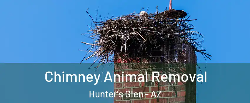 Chimney Animal Removal Hunter's Glen - AZ