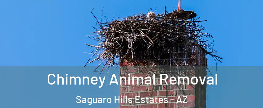 Chimney Animal Removal Saguaro Hills Estates - AZ