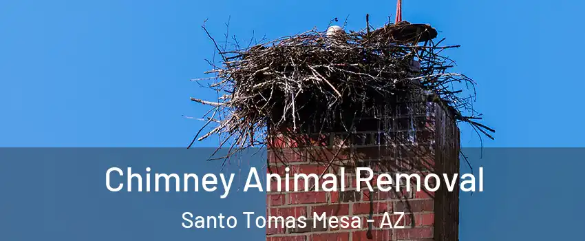 Chimney Animal Removal Santo Tomas Mesa - AZ