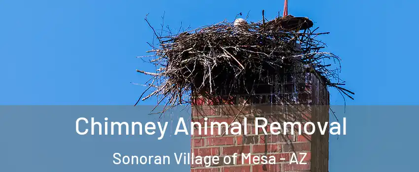 Chimney Animal Removal Sonoran Village of Mesa - AZ