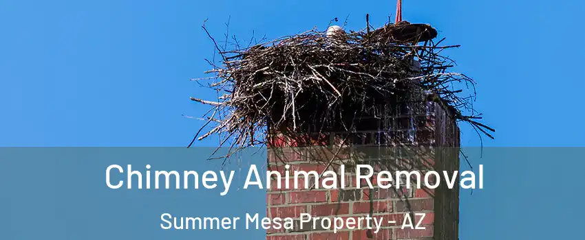 Chimney Animal Removal Summer Mesa Property - AZ