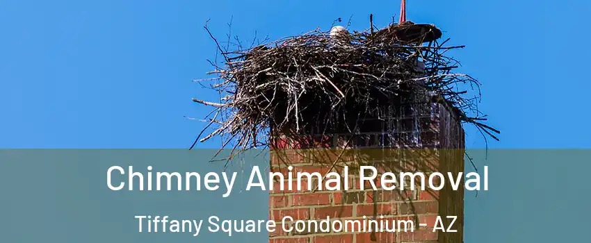 Chimney Animal Removal Tiffany Square Condominium - AZ