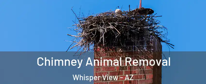 Chimney Animal Removal Whisper View - AZ