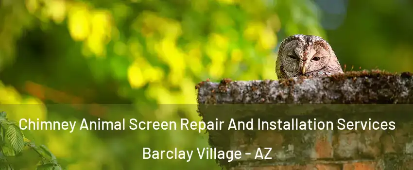 Chimney Animal Screen Repair And Installation Services Barclay Village - AZ