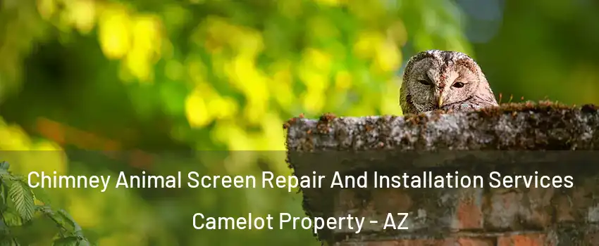 Chimney Animal Screen Repair And Installation Services Camelot Property - AZ