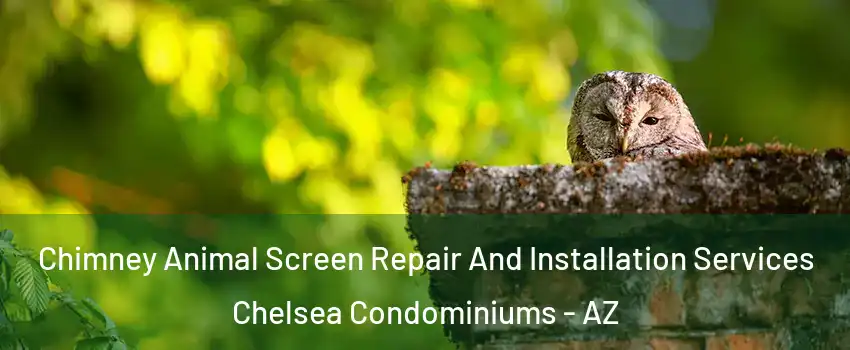 Chimney Animal Screen Repair And Installation Services Chelsea Condominiums - AZ