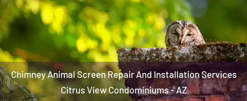 Chimney Animal Screen Repair And Installation Services Citrus View Condominiums - AZ