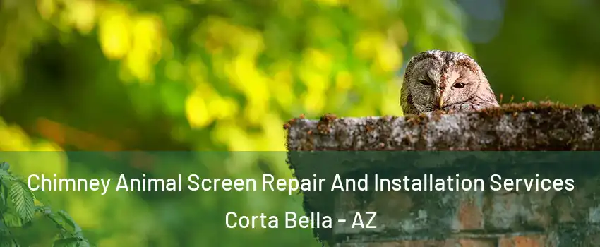 Chimney Animal Screen Repair And Installation Services Corta Bella - AZ