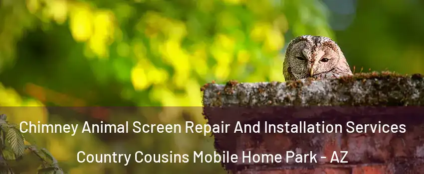 Chimney Animal Screen Repair And Installation Services Country Cousins Mobile Home Park - AZ