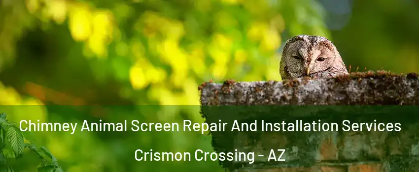 Chimney Animal Screen Repair And Installation Services Crismon Crossing - AZ