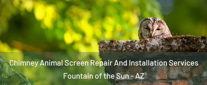 Chimney Animal Screen Repair And Installation Services Fountain of the Sun - AZ