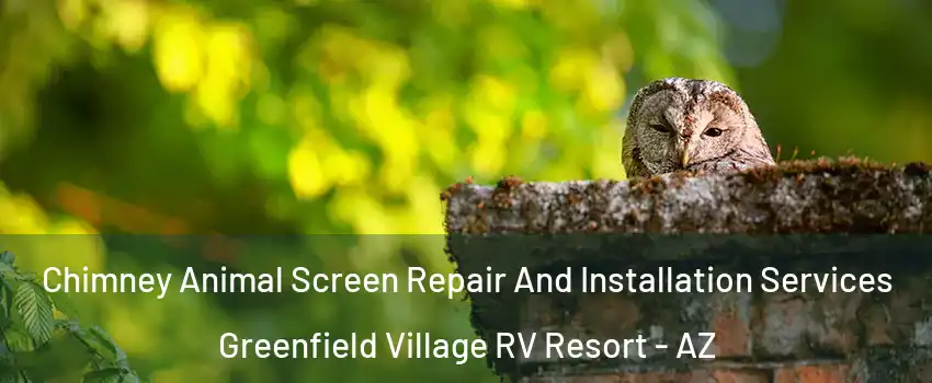 Chimney Animal Screen Repair And Installation Services Greenfield Village RV Resort - AZ