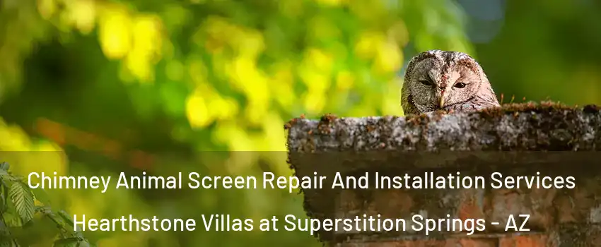 Chimney Animal Screen Repair And Installation Services Hearthstone Villas at Superstition Springs - AZ