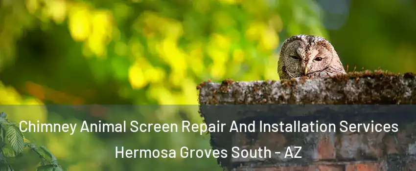 Chimney Animal Screen Repair And Installation Services Hermosa Groves South - AZ