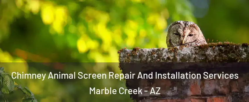 Chimney Animal Screen Repair And Installation Services Marble Creek - AZ