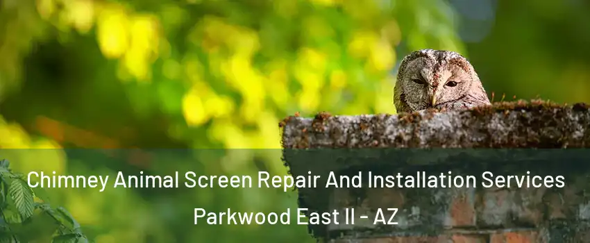 Chimney Animal Screen Repair And Installation Services Parkwood East II - AZ