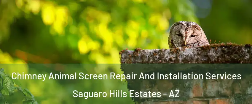 Chimney Animal Screen Repair And Installation Services Saguaro Hills Estates - AZ