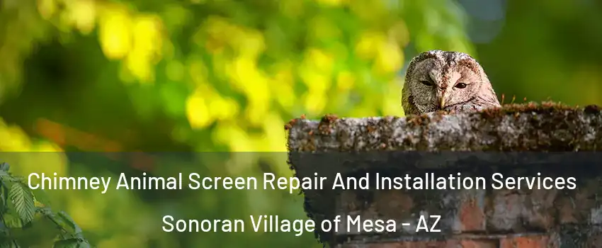 Chimney Animal Screen Repair And Installation Services Sonoran Village of Mesa - AZ