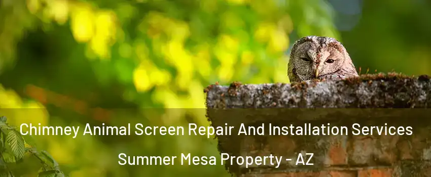 Chimney Animal Screen Repair And Installation Services Summer Mesa Property - AZ