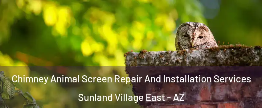 Chimney Animal Screen Repair And Installation Services Sunland Village East - AZ