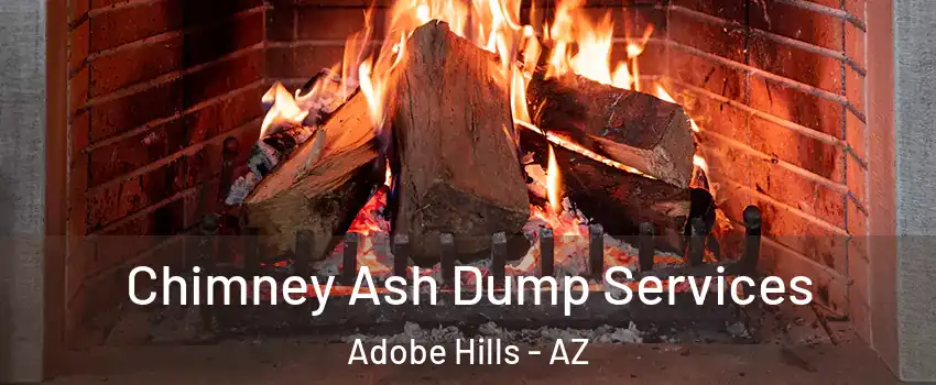 Chimney Ash Dump Services Adobe Hills - AZ