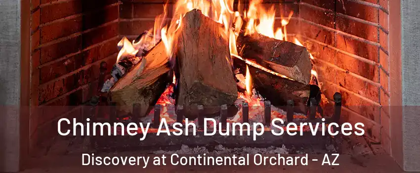 Chimney Ash Dump Services Discovery at Continental Orchard - AZ