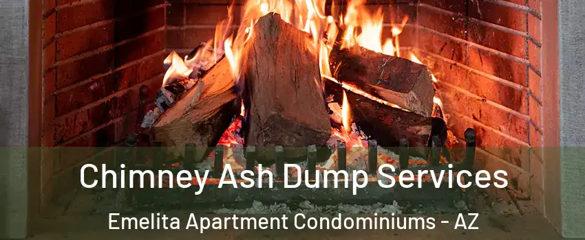 Chimney Ash Dump Services Emelita Apartment Condominiums - AZ