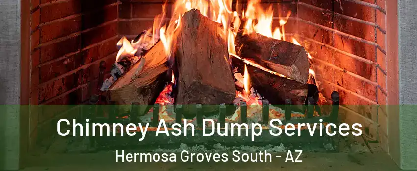 Chimney Ash Dump Services Hermosa Groves South - AZ