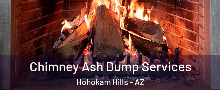 Chimney Ash Dump Services Hohokam Hills - AZ