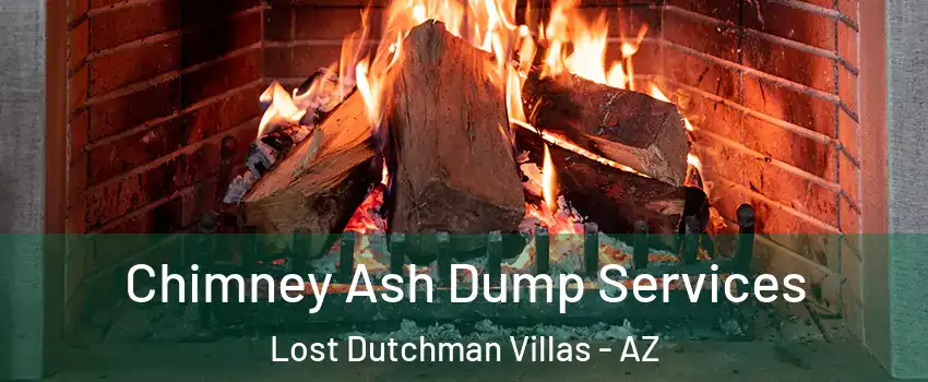 Chimney Ash Dump Services Lost Dutchman Villas - AZ