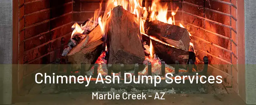 Chimney Ash Dump Services Marble Creek - AZ