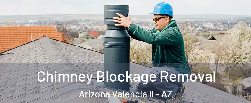 Chimney Blockage Removal Arizona Valencia II - AZ