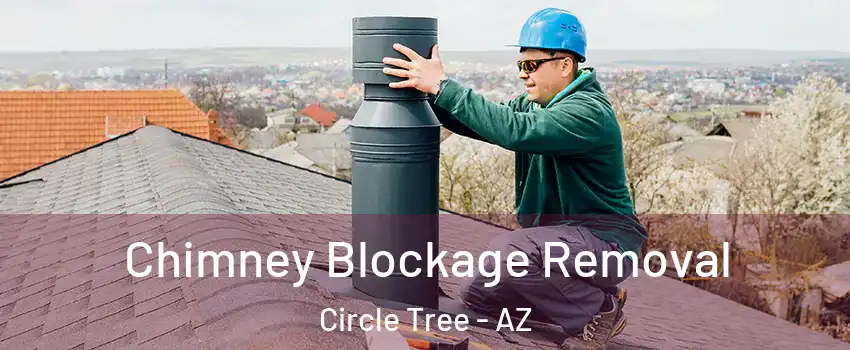 Chimney Blockage Removal Circle Tree - AZ