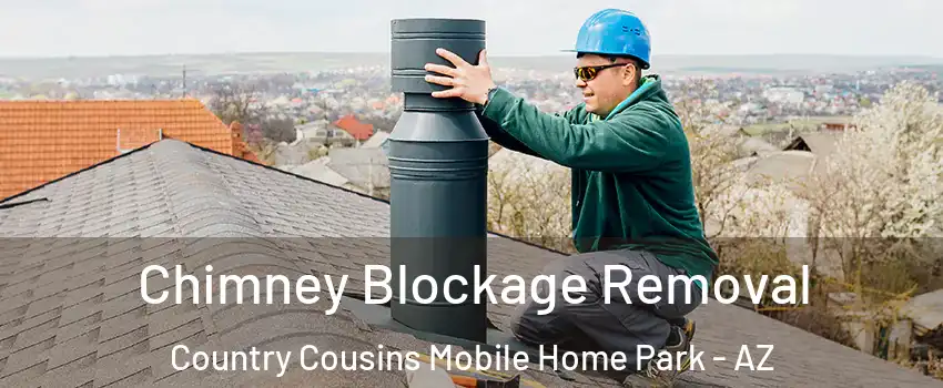 Chimney Blockage Removal Country Cousins Mobile Home Park - AZ