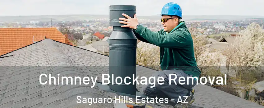 Chimney Blockage Removal Saguaro Hills Estates - AZ