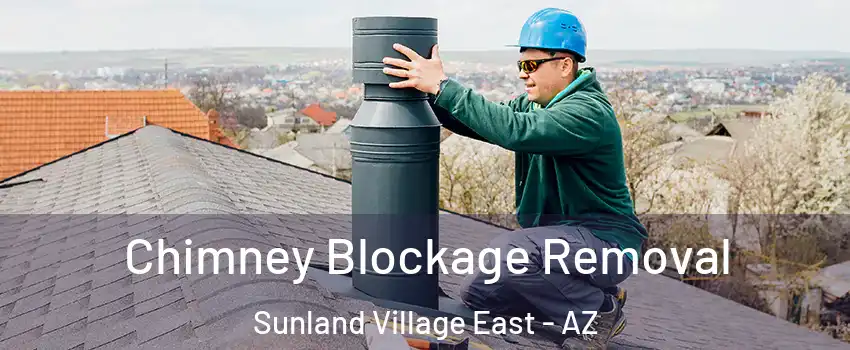 Chimney Blockage Removal Sunland Village East - AZ