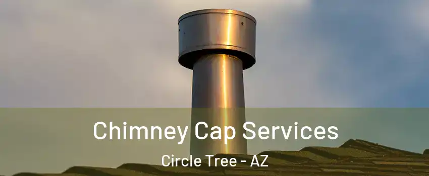 Chimney Cap Services Circle Tree - AZ