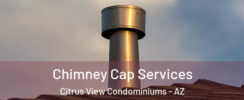 Chimney Cap Services Citrus View Condominiums - AZ