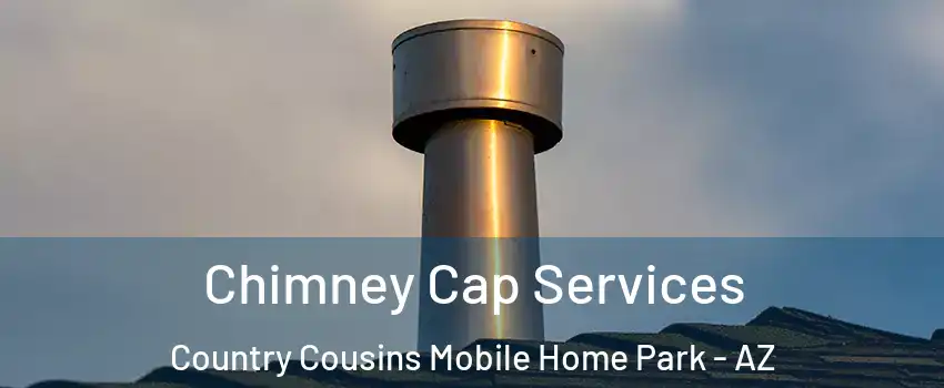 Chimney Cap Services Country Cousins Mobile Home Park - AZ