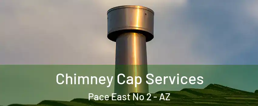 Chimney Cap Services Pace East No 2 - AZ